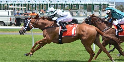 Superfecta Bet – Pros, Cons & Odds .